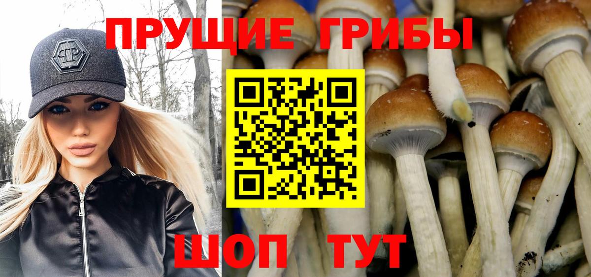 Псилоцибиновые грибы MAGIC MUSHROOMS Кизилюрт